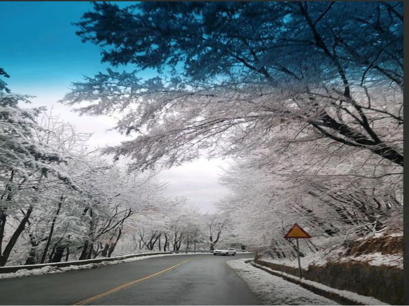 Gyeongju H Avenue Hotel Bulguksa image
