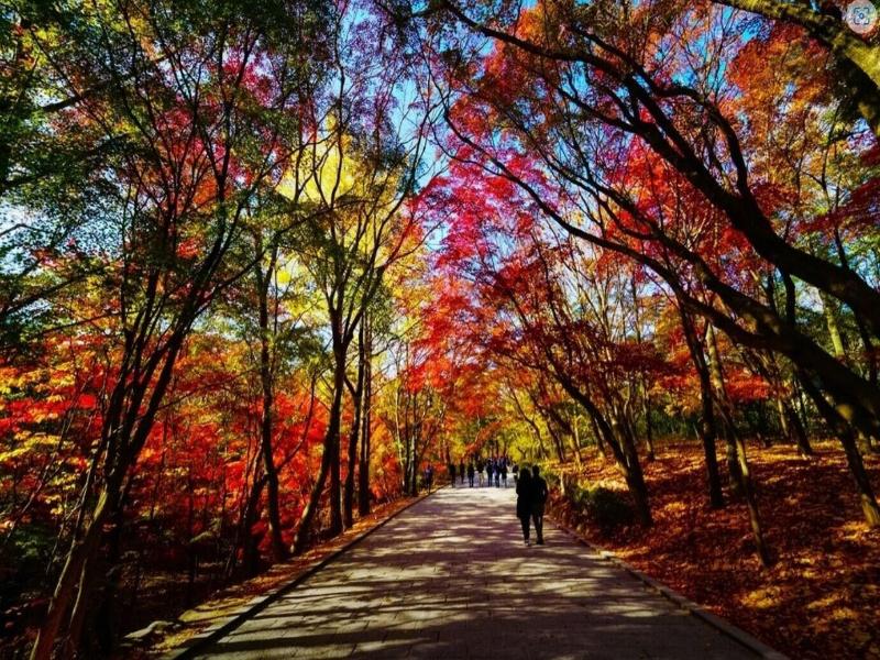 Gyeongju H Avenue Hotel Bulguksa image