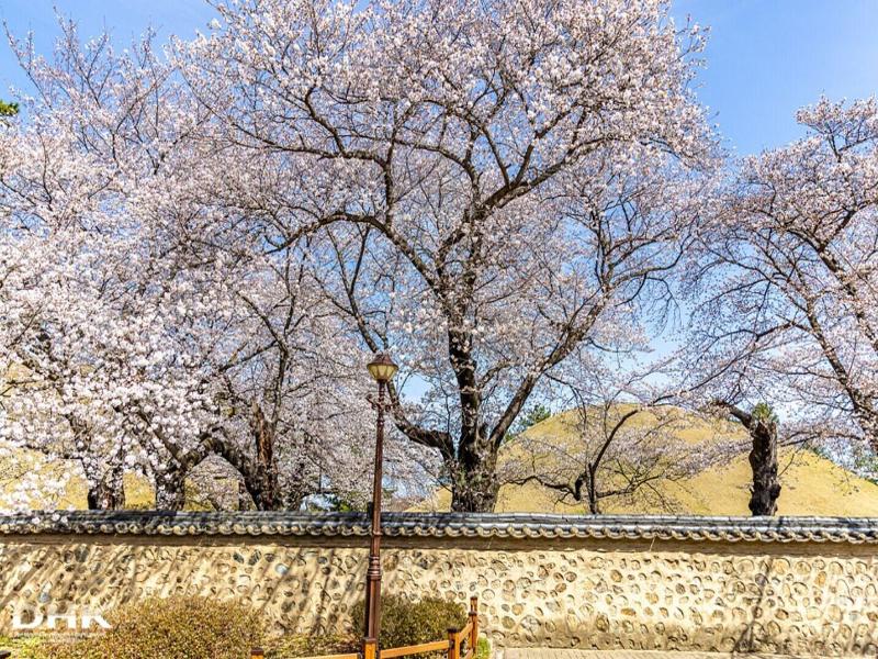 Gyeongju H Avenue Hotel Bulguksa image