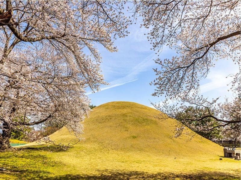 Gyeongju H Avenue Hotel Bulguksa image