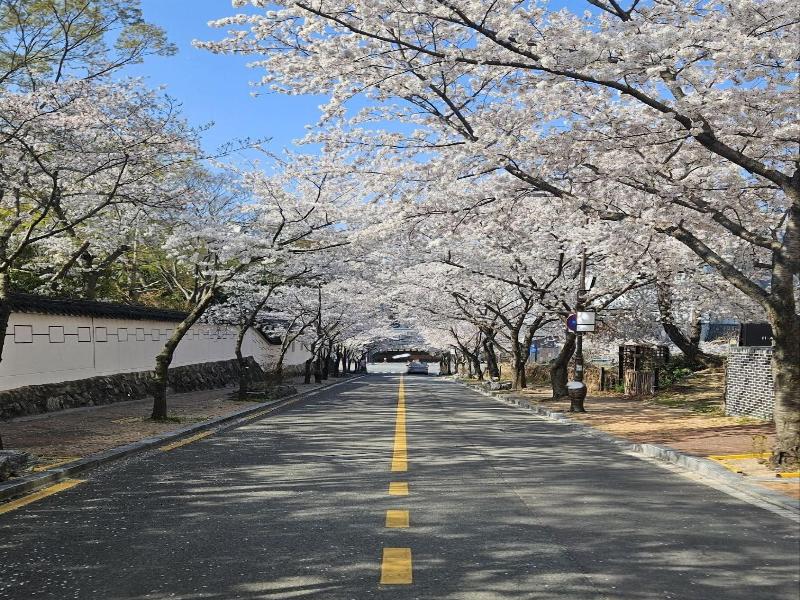 Gyeongju H Avenue Hotel Bulguksa image