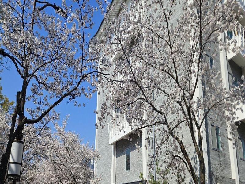 Gyeongju H Avenue Hotel Bulguksa image