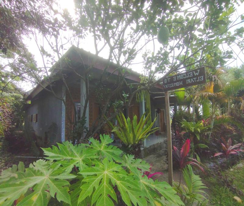 Oyo 93666 Lestari Homestay, Kotaraja