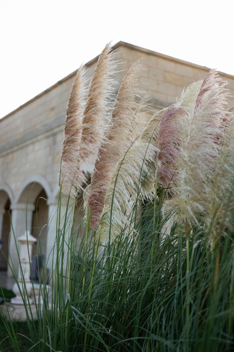 Tenuta Dorolivo Guest House E B B