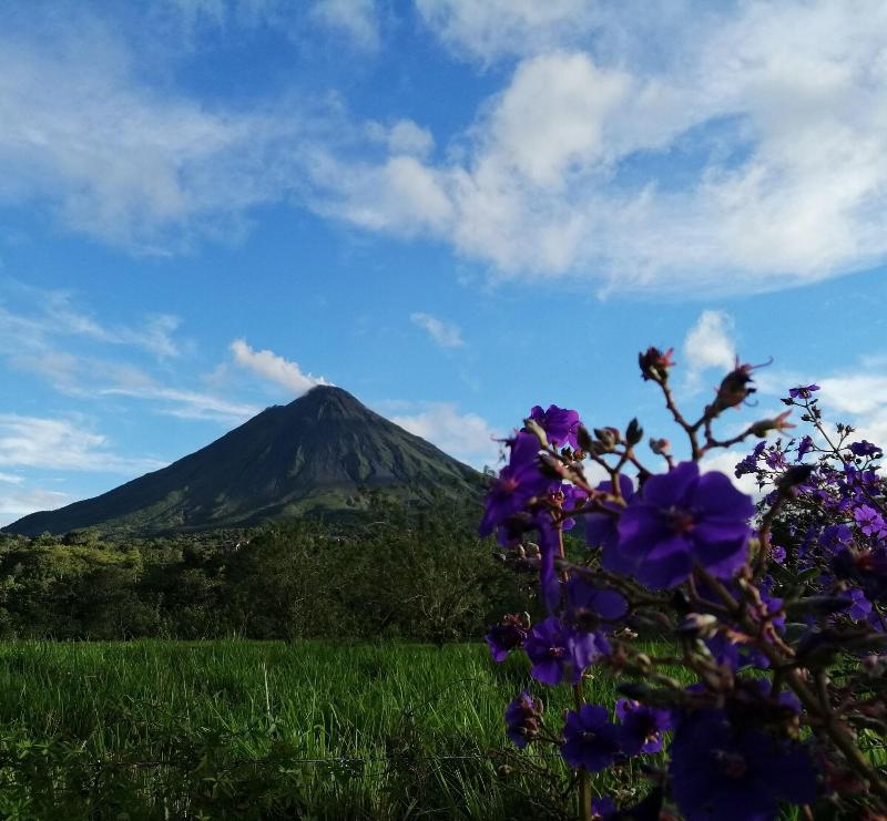 Villa Luna Del Arenal image