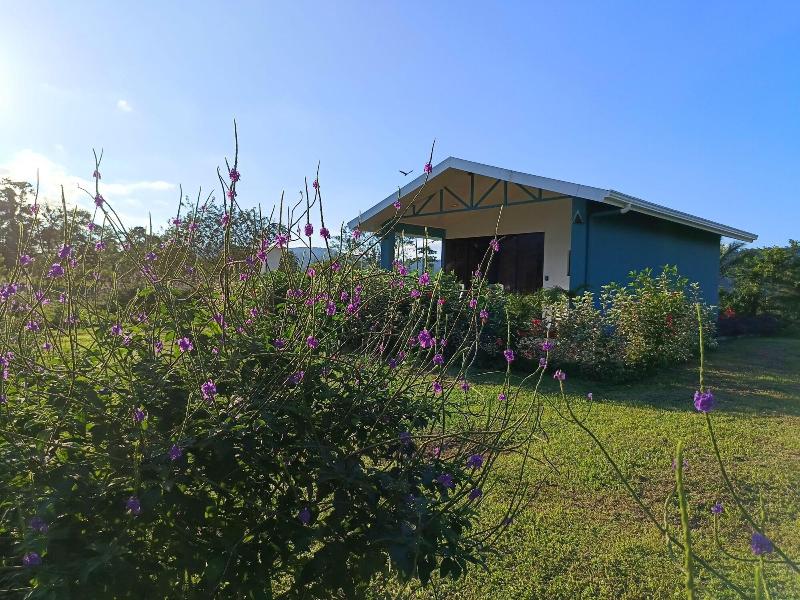 Villa Luna Del Arenal image