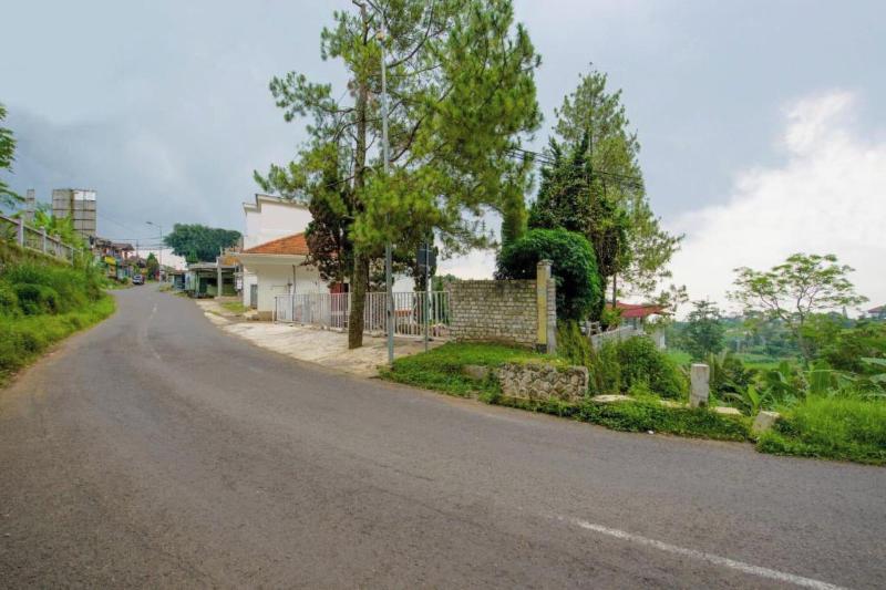Capital O 3359 Pondok Wisata Jaden image