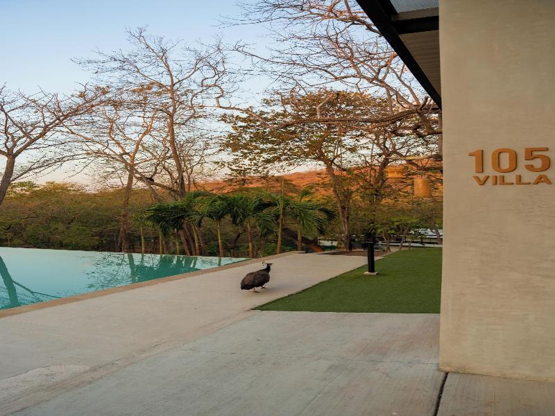 Epic Tamarindo Boutique Hotel image