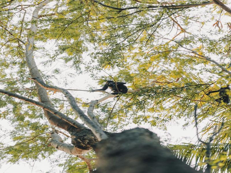 Epic Tamarindo Boutique Hotel image