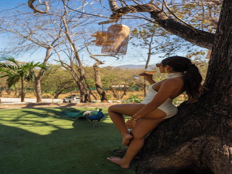 Epic Tamarindo Boutique Hotel image
