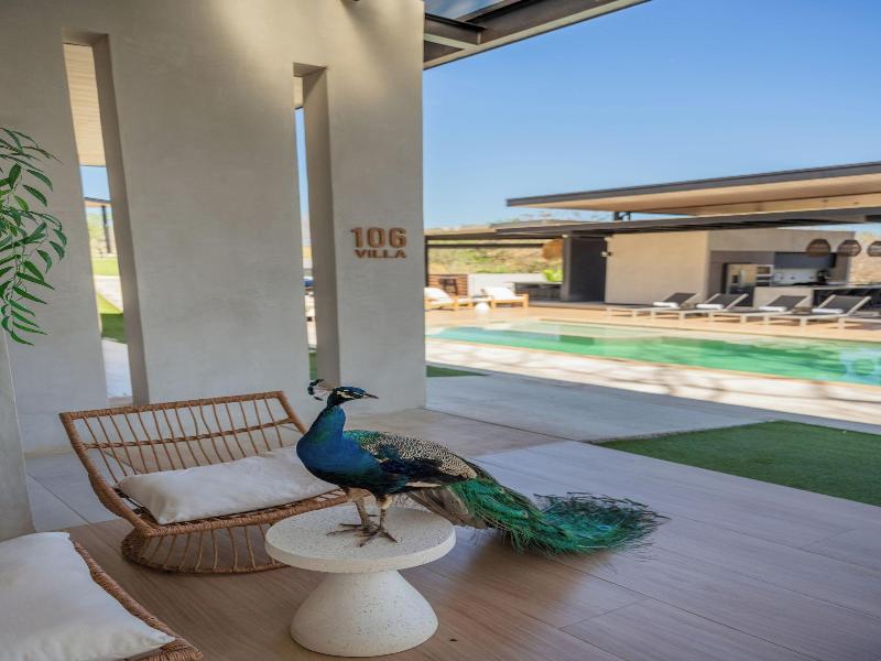 Epic Tamarindo Boutique Hotel image
