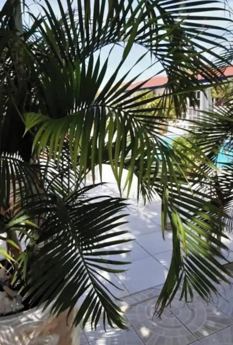 Harmony B B — exterior view