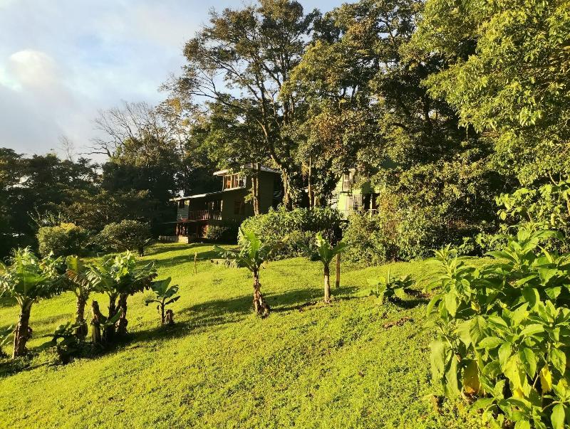 Hotel Flor De Bromelia image