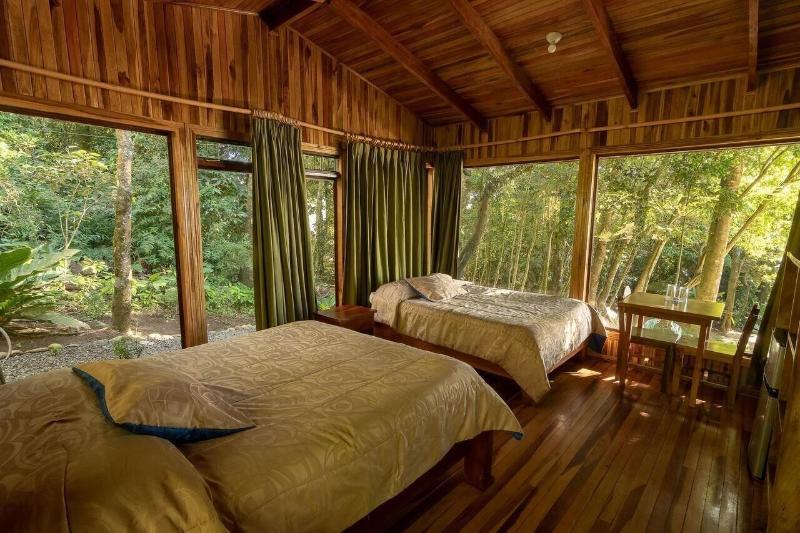Hotel Flor De Bromelia image