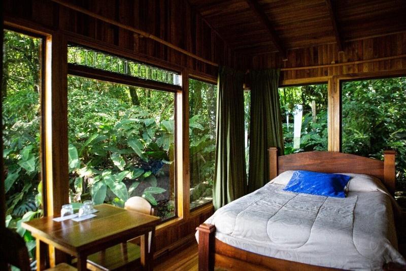 Hotel Flor De Bromelia image