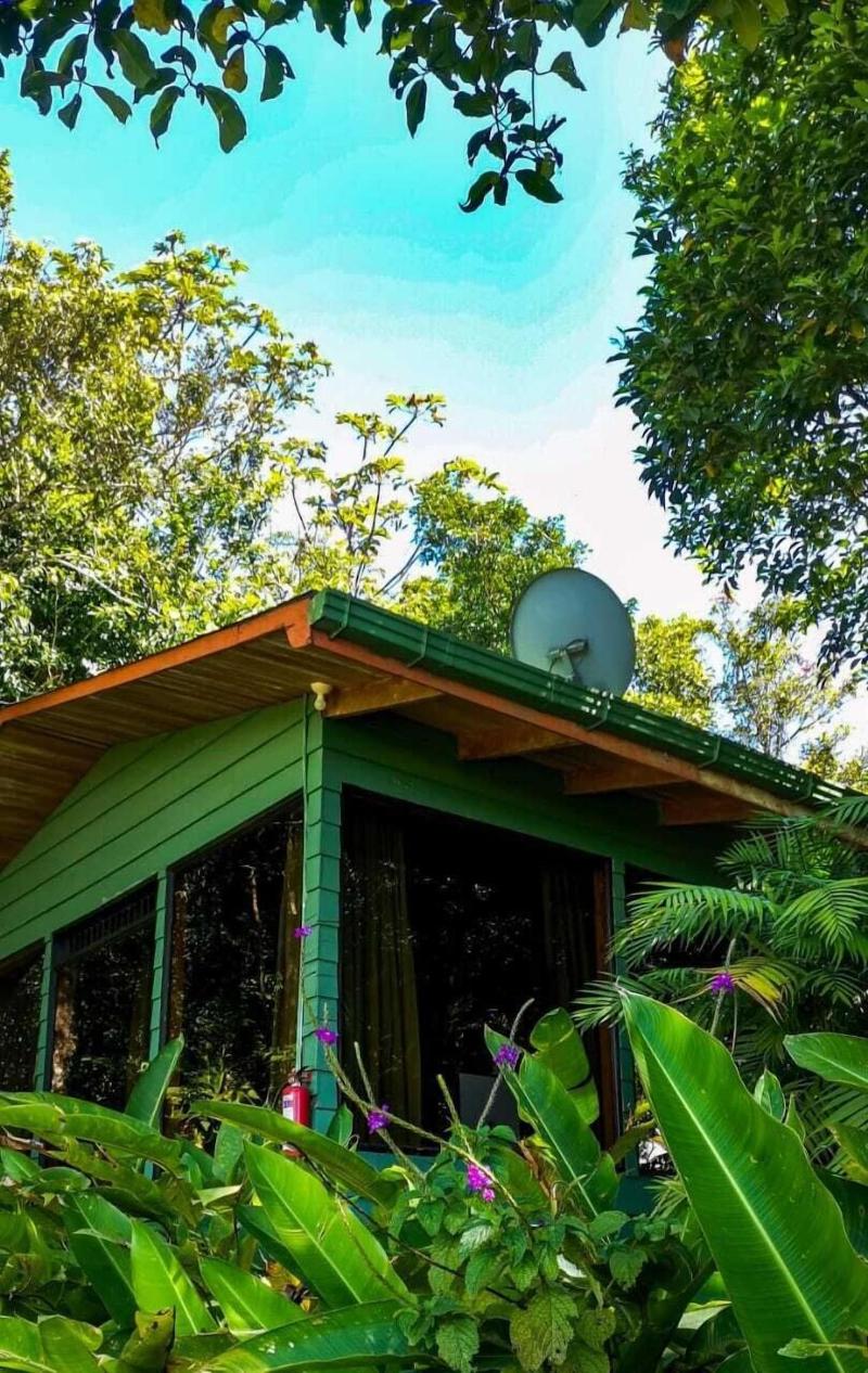 Hotel Flor De Bromelia image