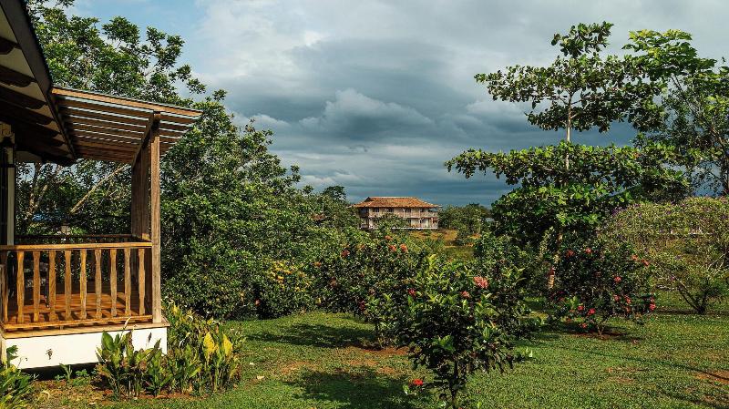 El Lugar image