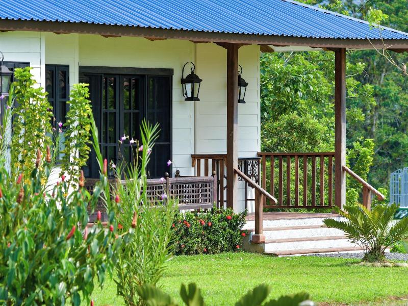 El Lugar image