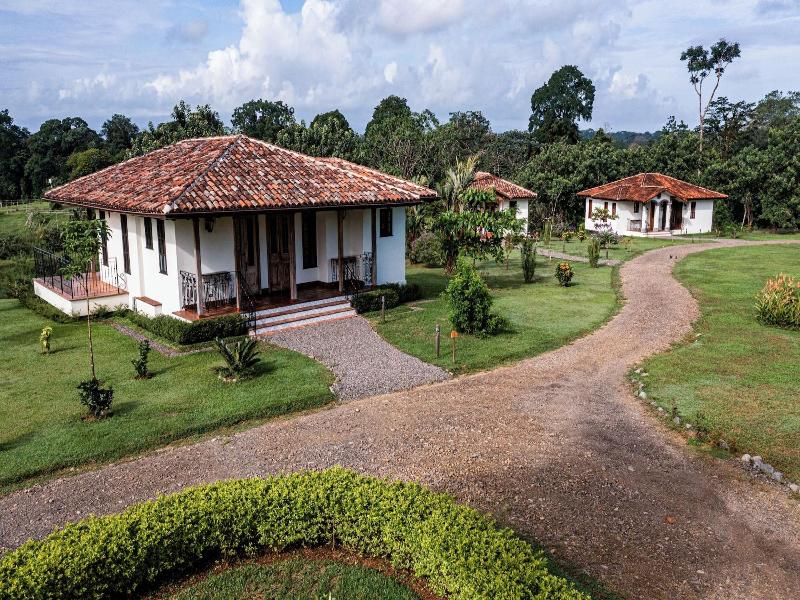 El Lugar image