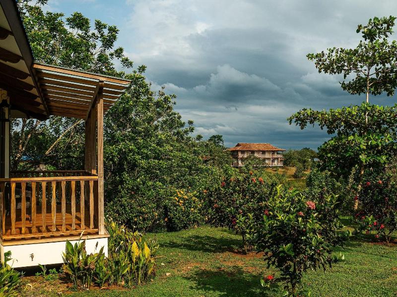 El Lugar image