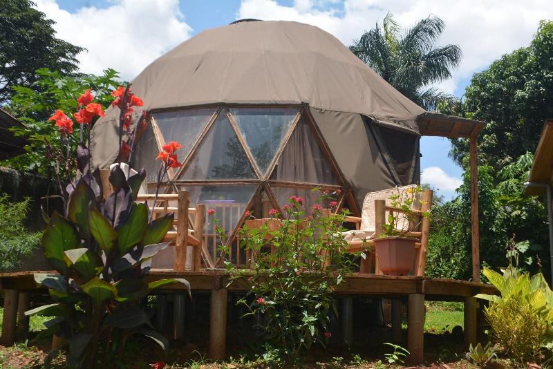 Jinja Backpackers image