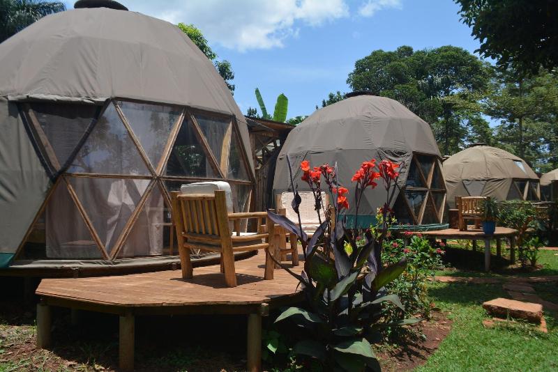 Jinja Backpackers image