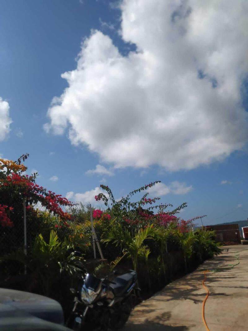 The Serenity Resort image