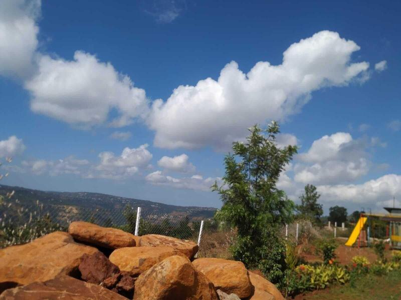 The Serenity Resort image