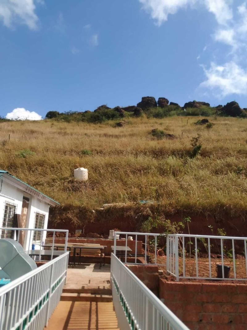 The Serenity Resort image