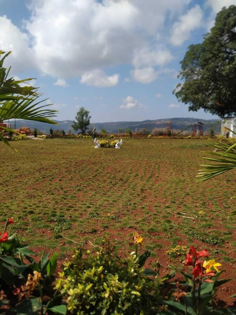 The Serenity Resort image