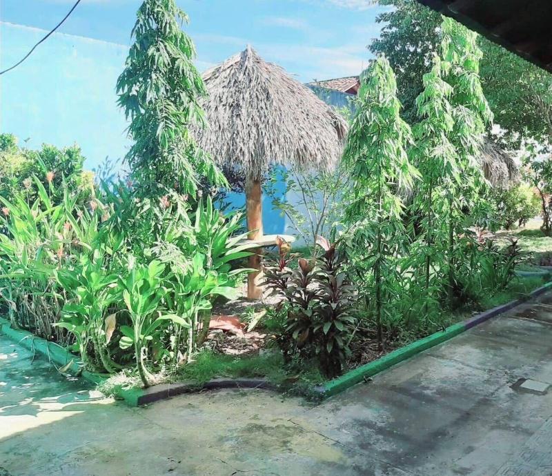 Hostel Sultan image