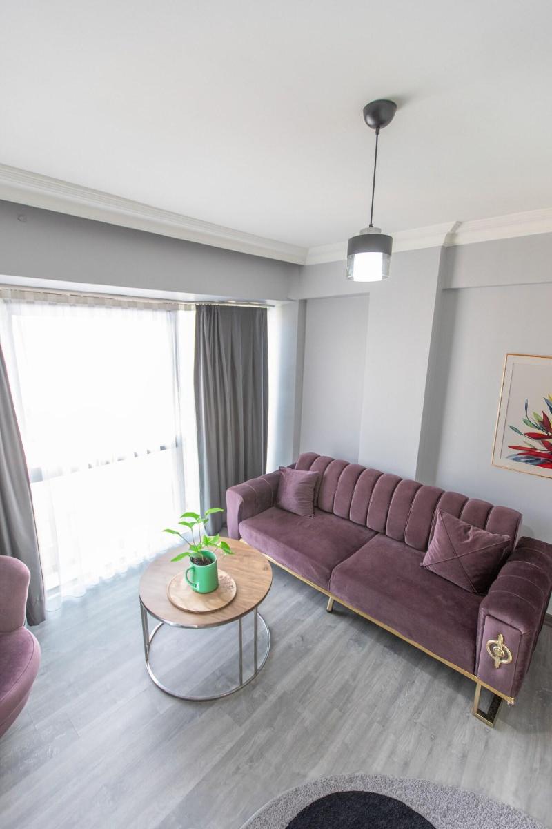 Liza Suit Hotel image