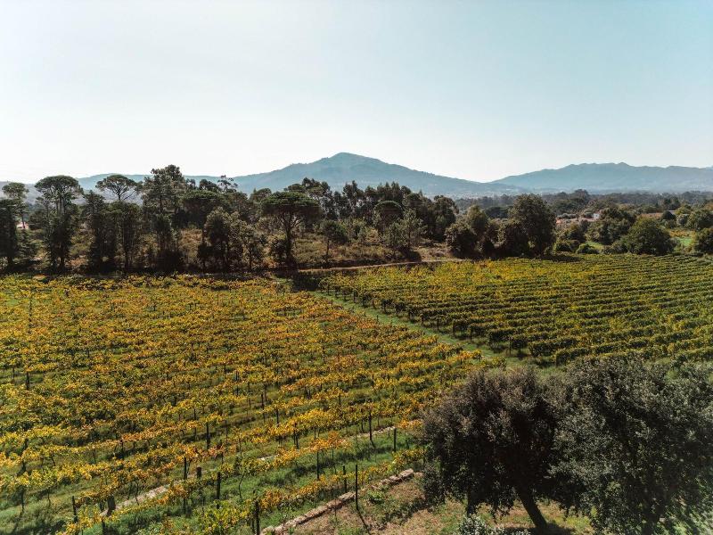 Quinta Do Convento Val Pereiras image