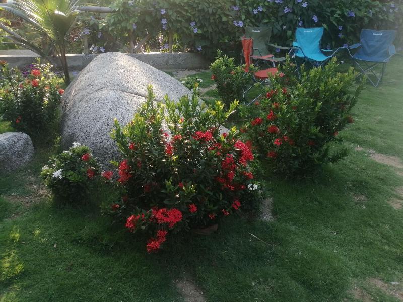 Hotel Talu Tayrona image