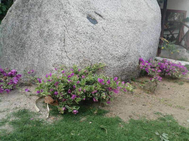 Hotel Talu Tayrona image