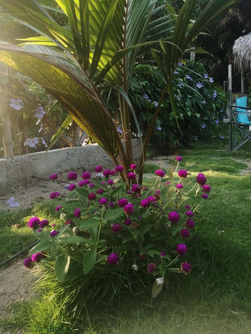 Hotel Talu Tayrona image