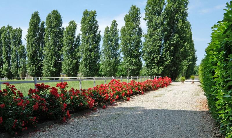 Agriturismo Il Leone Della Torre image