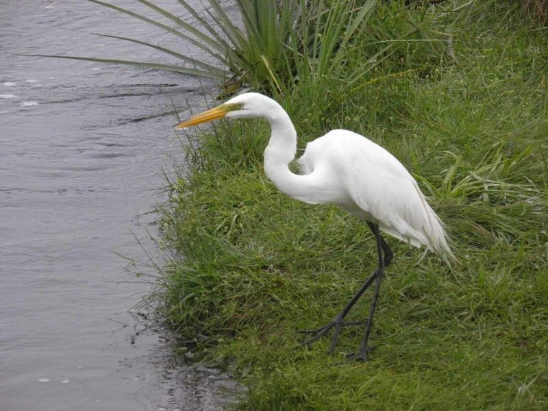 Wild Wetlands Lodge