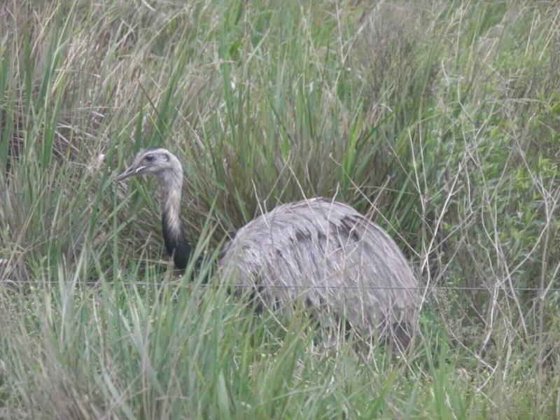 Wild Wetlands Lodge