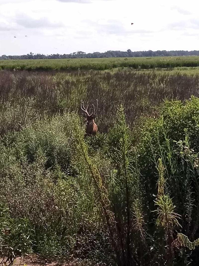 Wild Wetlands Lodge