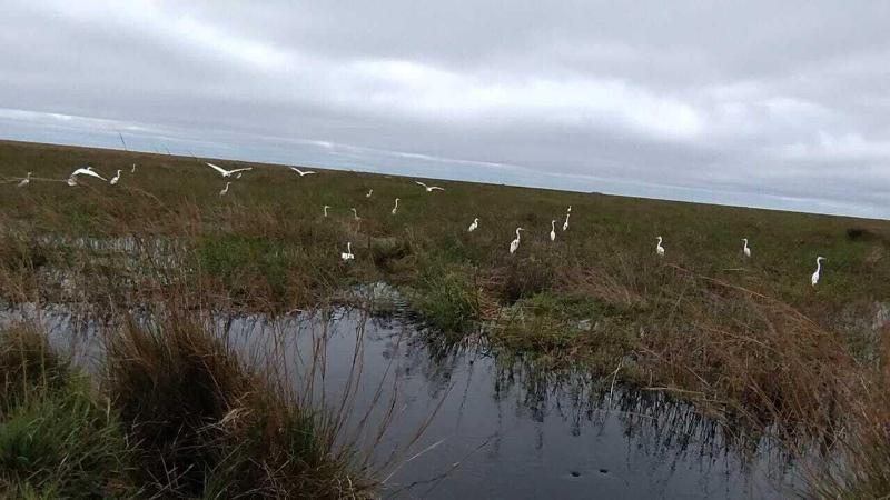 Wild Wetlands Lodge