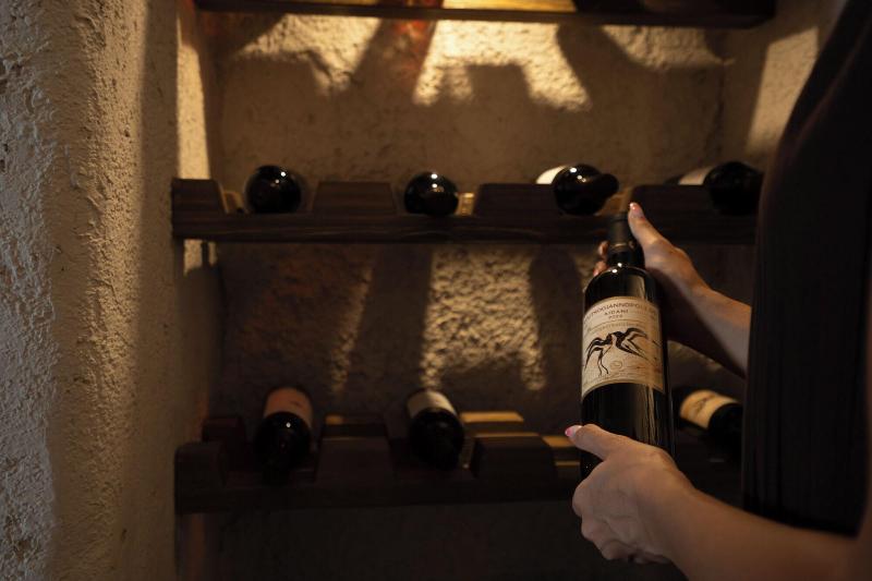 Kanava Cave Winery Villa image