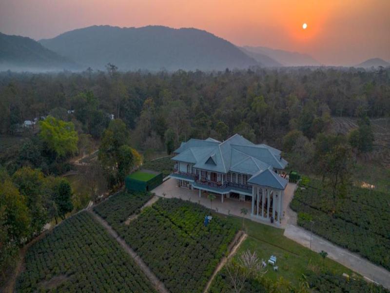 Vaani Greens Wildlife Resort, Kaziranga, Kanchanjuri