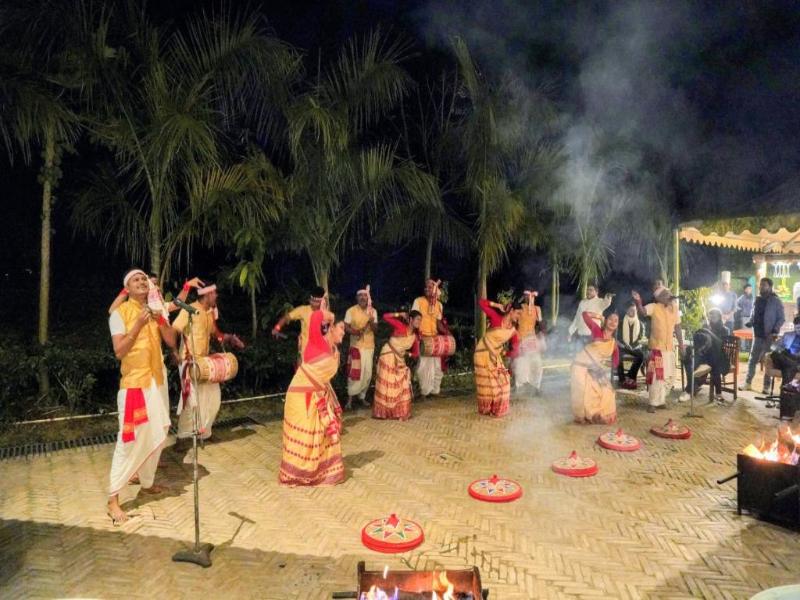 Vaani Greens Wildlife Resort, Kaziranga