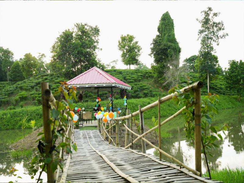 Vaani Greens Wildlife Resort, Kaziranga