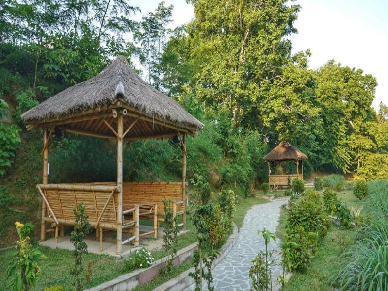 Vaani Greens Wildlife Resort, Kaziranga