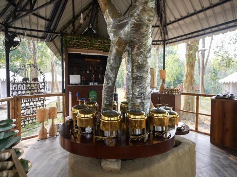 Vaani Greens Wildlife Resort, Kaziranga