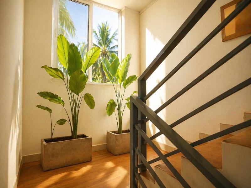 Maple Leaf Residency Homes Calangute image