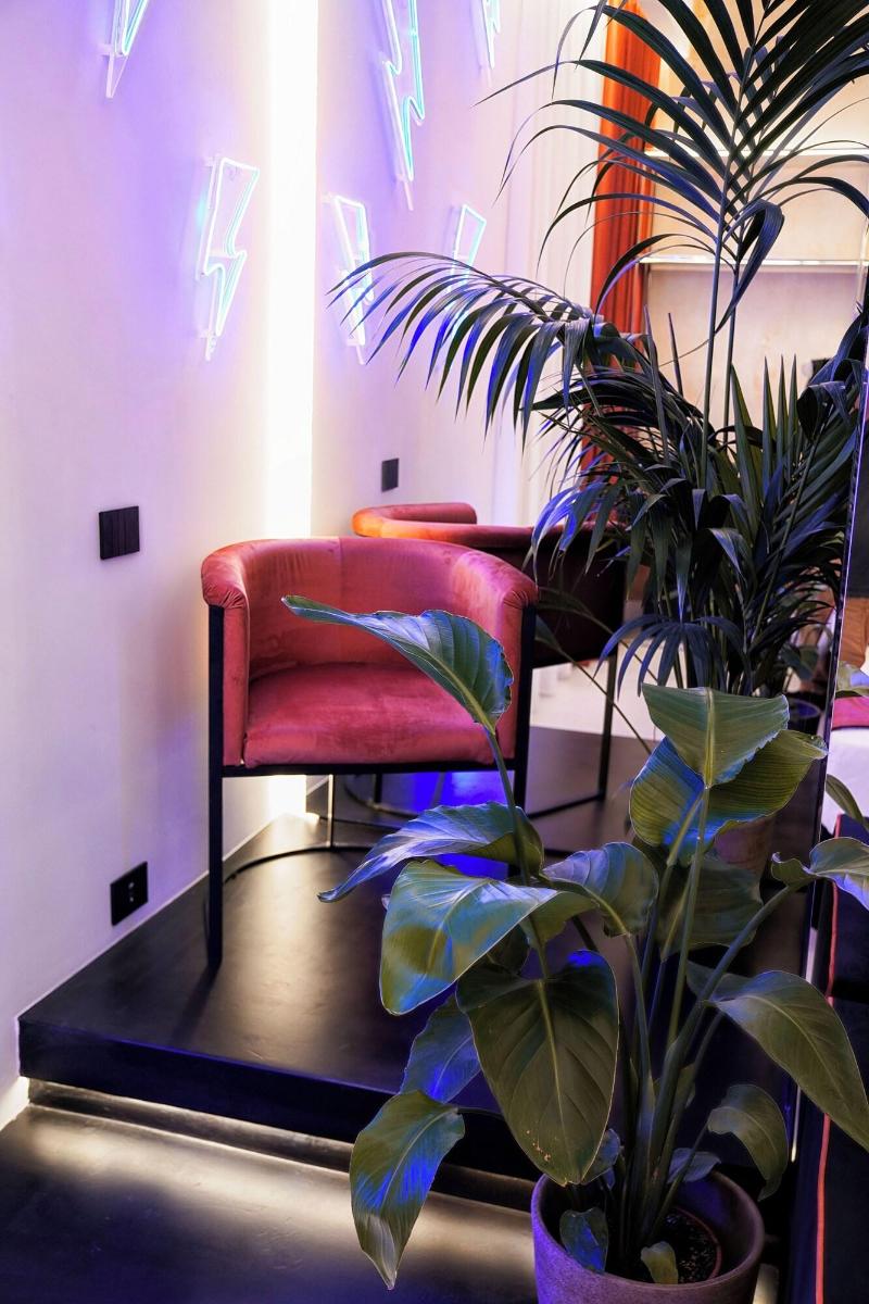 Kind Places Suite Experience image