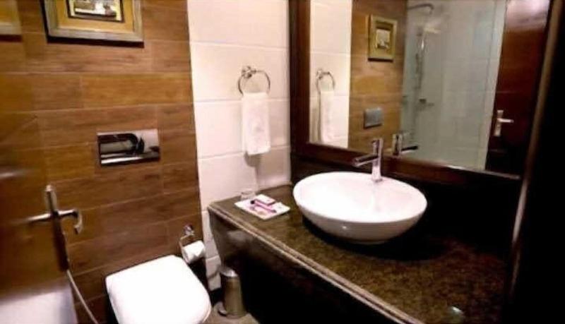 Hotel Pitrashish Pride Delhi Igi Airport image